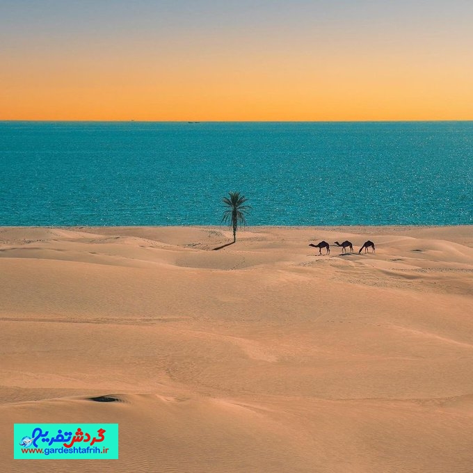 عکس:نیما دهقانی