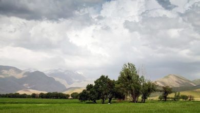 گشت و تفریح تابستانی در روستای زیبای «هنام»/فیلم