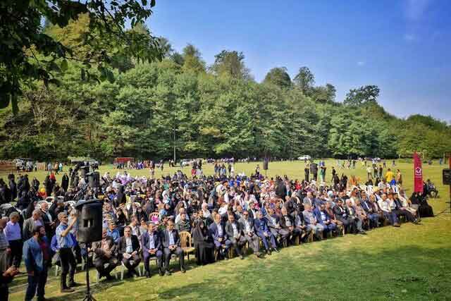 معرفی چهار غذای اصیل مازندران در جشنواره «زردکیجا»