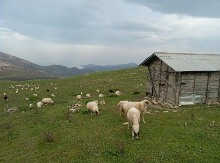 معرفی زیباترین روستای ماسال + آدرس 