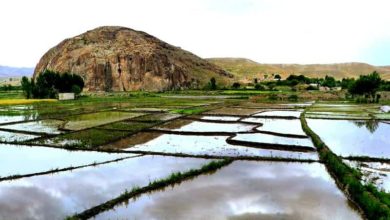 پیشنهدی ویژه برای گردشگران/روستای زیبای کوجنق مشگین شهر