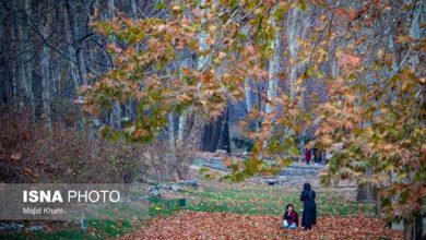 عکسی از پاییز زیبای تهران...