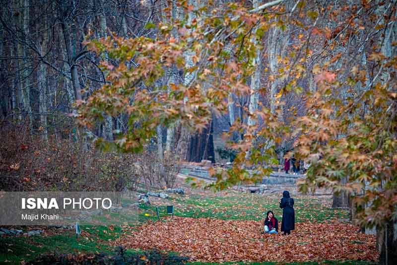 عکسی از پاییز زیبای تهران...