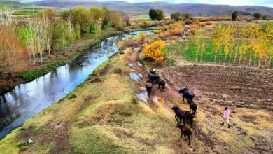 اهالی گردش و تفریح سفر به قادرلو به شما توصیه می شود!