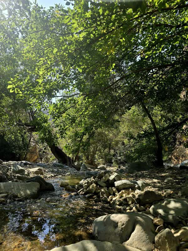 گردشی در درکه پلنگ چال تهران