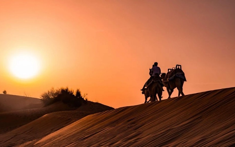 8 تا از جذاب ترین تفریحات سافاری دبی که نباید از دست بدهید